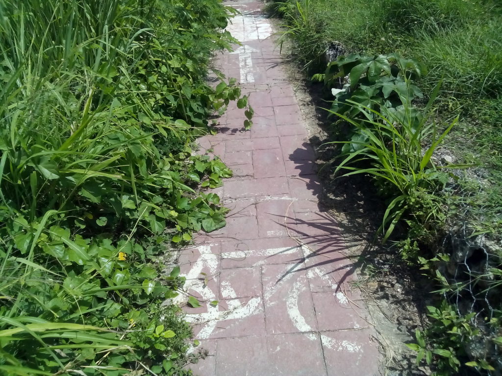 En El Abandono Ciclov A Del Programa Pueblos Magicos De Bacalar Ni Los